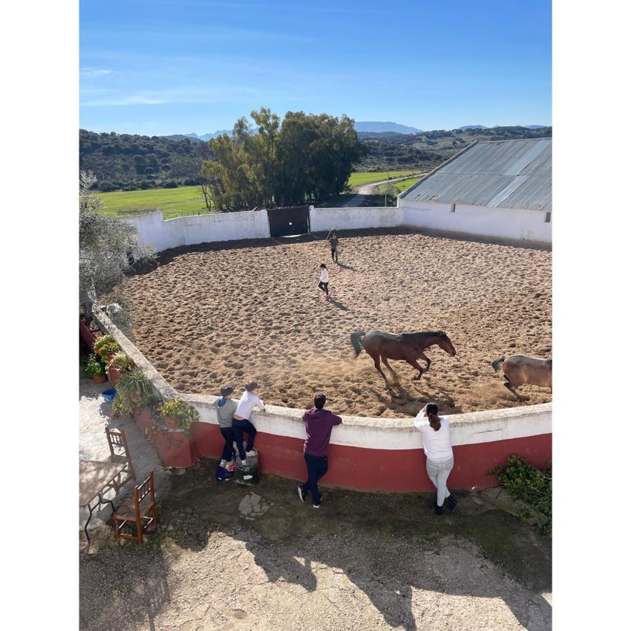 Casa Rural Finca De Las Encarnaciones Bajas Villanueva de San Juan Экстерьер фото